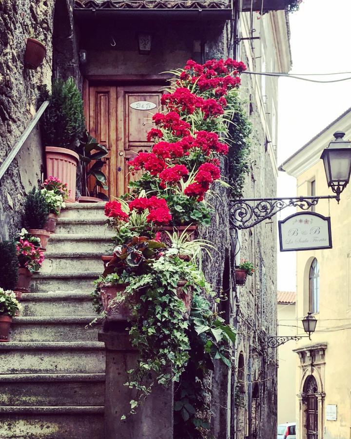 Bed and Breakfast La Scala Fiorita Anagni Exterior foto